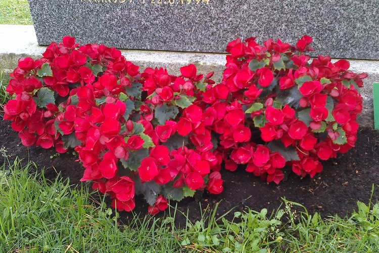 31082015656.jpg