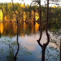 hiljaisuus