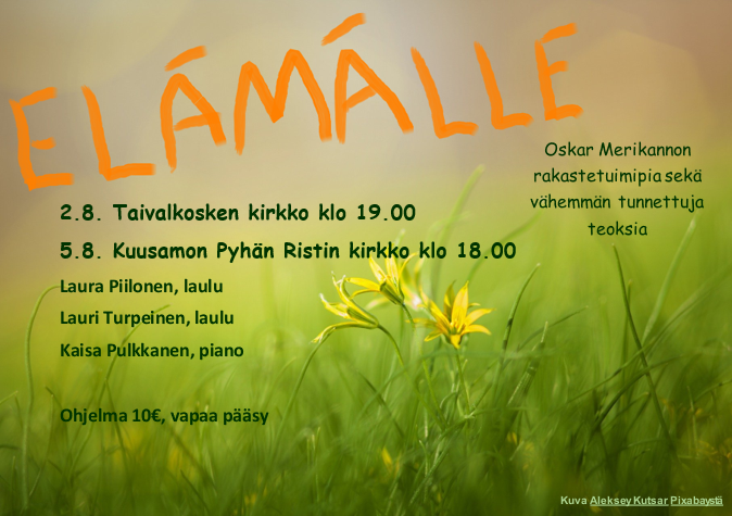 Elämälle Konserttimainos