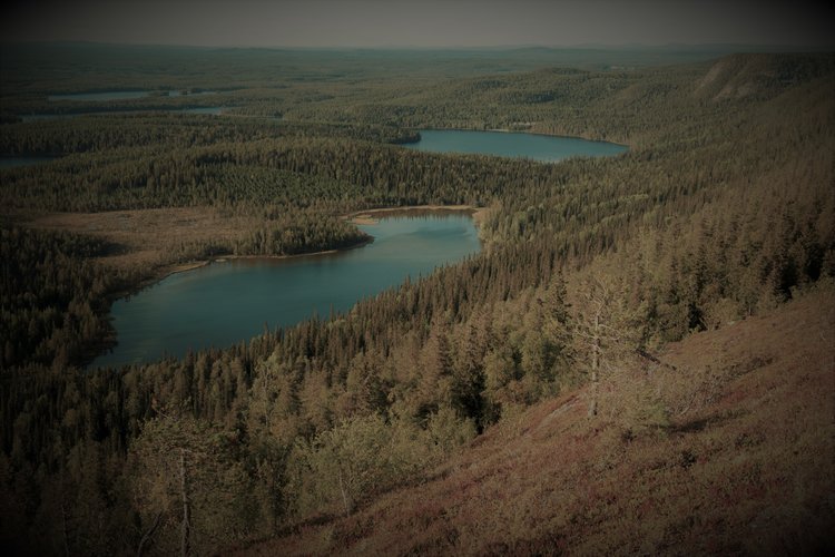 Yöttömän yön hartaus Konttaisella Yöttömän yön hartaus Konttaisella