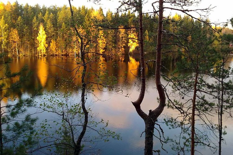 Hyvien uutisten naisten päivä Hyvien uutisten naisten päivä