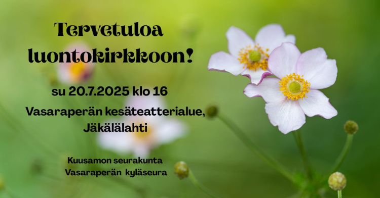 Luontokirkko Vasaraperän kesäteatterialueella Kuvassa valkoisia kukkia, joissa vaaleanpunainen reunus, tausta vihreä, epätarkka. Teksti: Tervetuloa luontokirkkoon! Su 20.7.2025 klo 16 Vasaraperän teatterialue, Jäkälälahti, Kuusamon seurakunta, Vasaraperän kyläseura