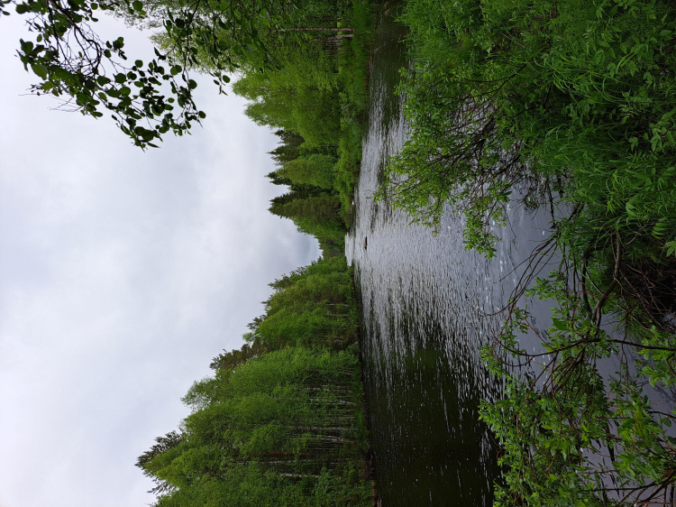 kielonkoski